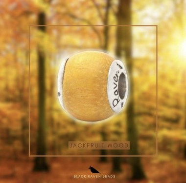 380656794_5387318171393240_5666923691188967251_n