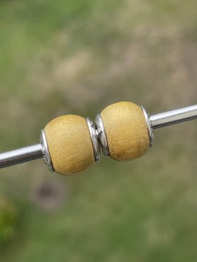 381218729_5391283227663401_6906162897109879136_n