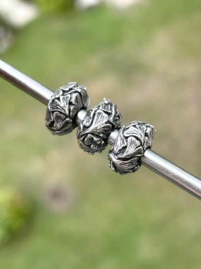 382785206_5391196787672045_3458440327123469546_n