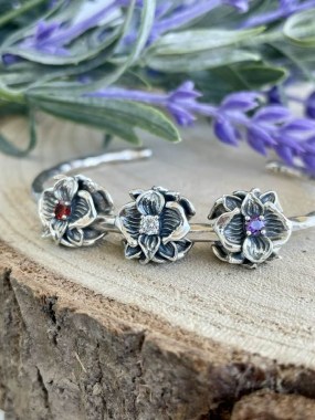 488886441_8117069955084701_6290076496985981693_n4