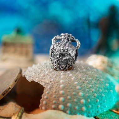 509432668_8644494855675539_6414354876637006044_n