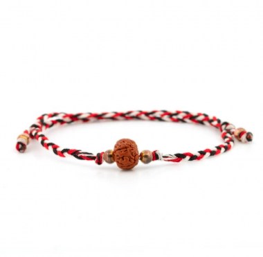 510806767_8665787826879575_6678033733877270468_n