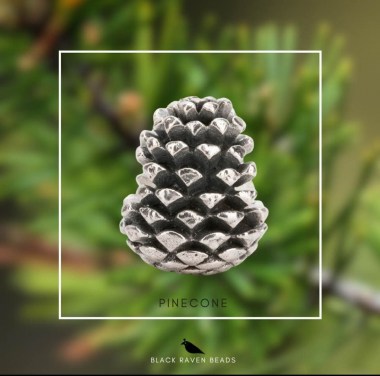 548813605_9362412887217062_5021444993979663477_n