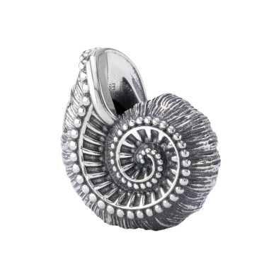 681203191_25066855303012901_8427136887800697317_n